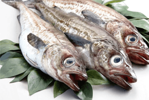 숙취해소효능27