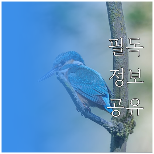 플레이스테이션 엑스박스 비교 독점작 ..