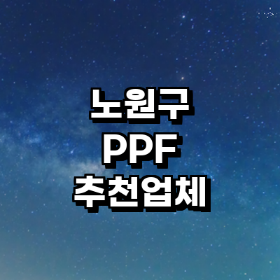 서울 노원구 ppf