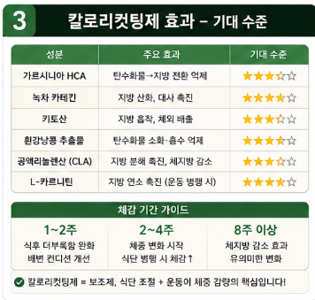 칼로리컷팅제-효과-원리-부작용-내돈내산-순위-추천