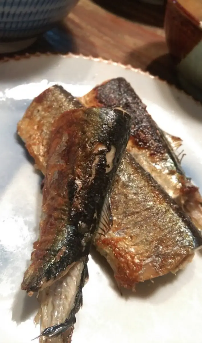 꽁치