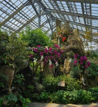 우리꽃식물원 6일간 무료 개방