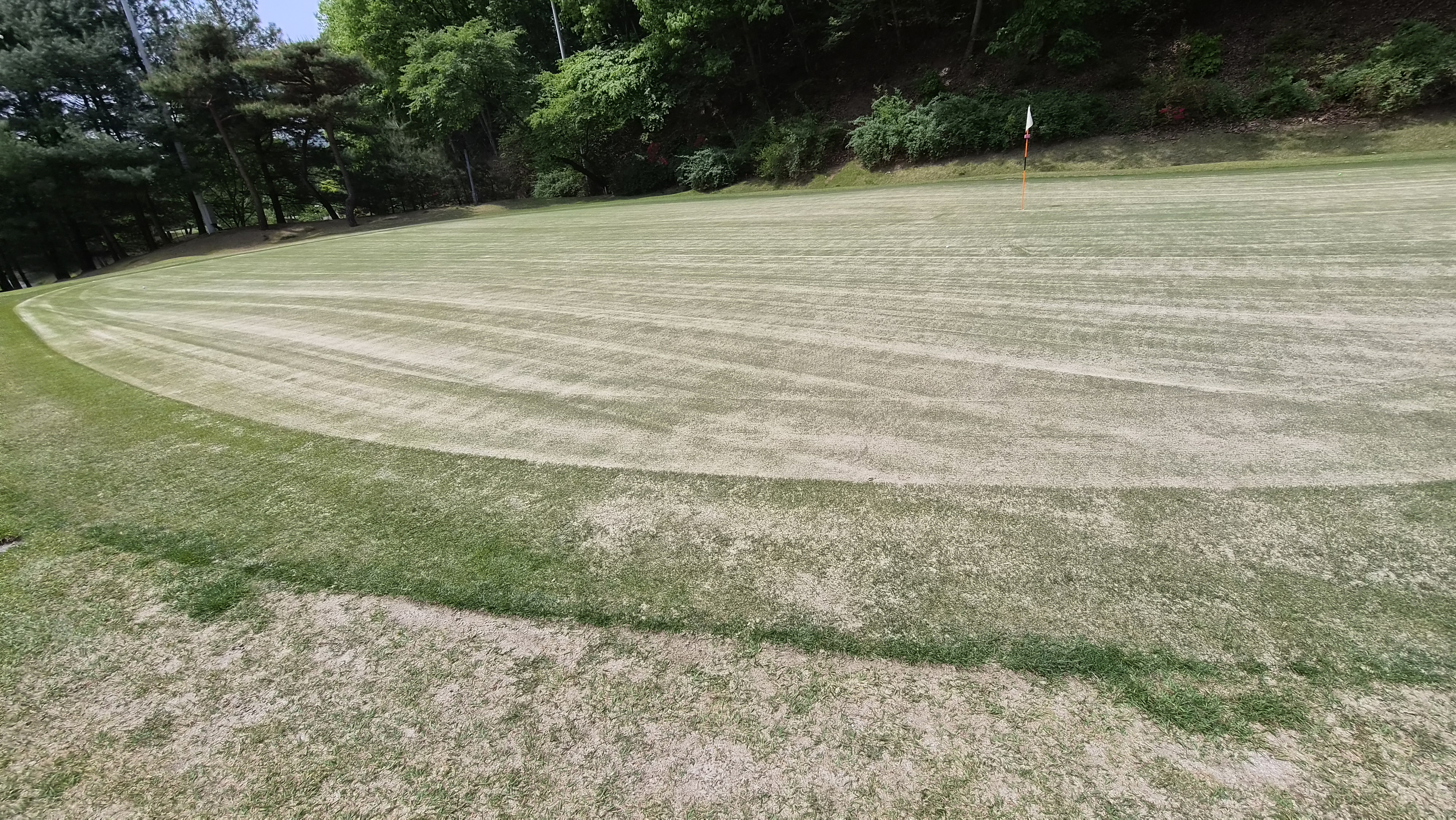 포웰cc 프린세스 라운드 후기