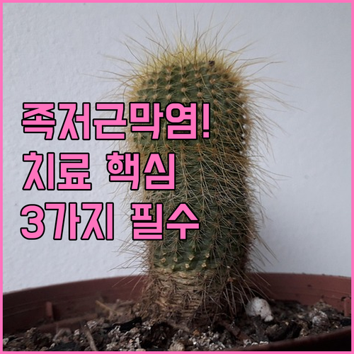 족저근막염 치료 시 필수적으로 확인해..