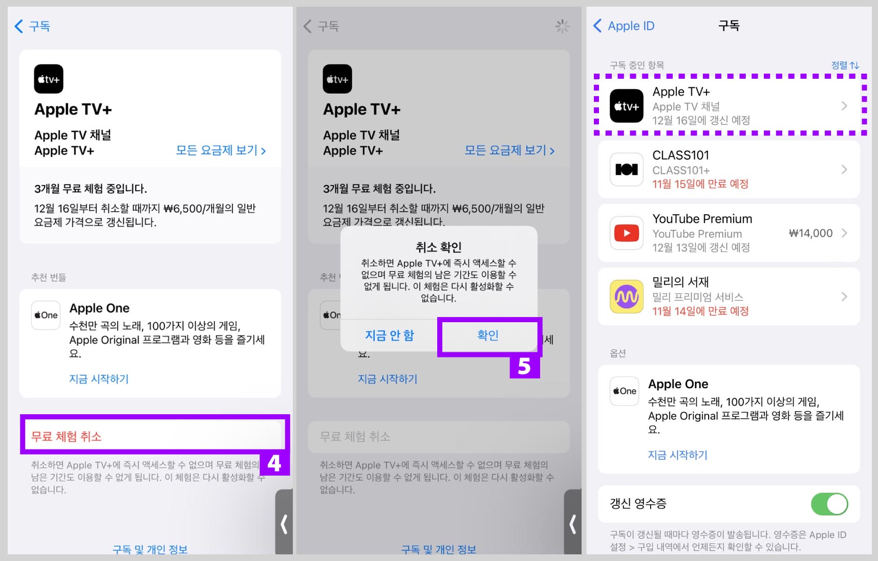 애플티비-아이폰