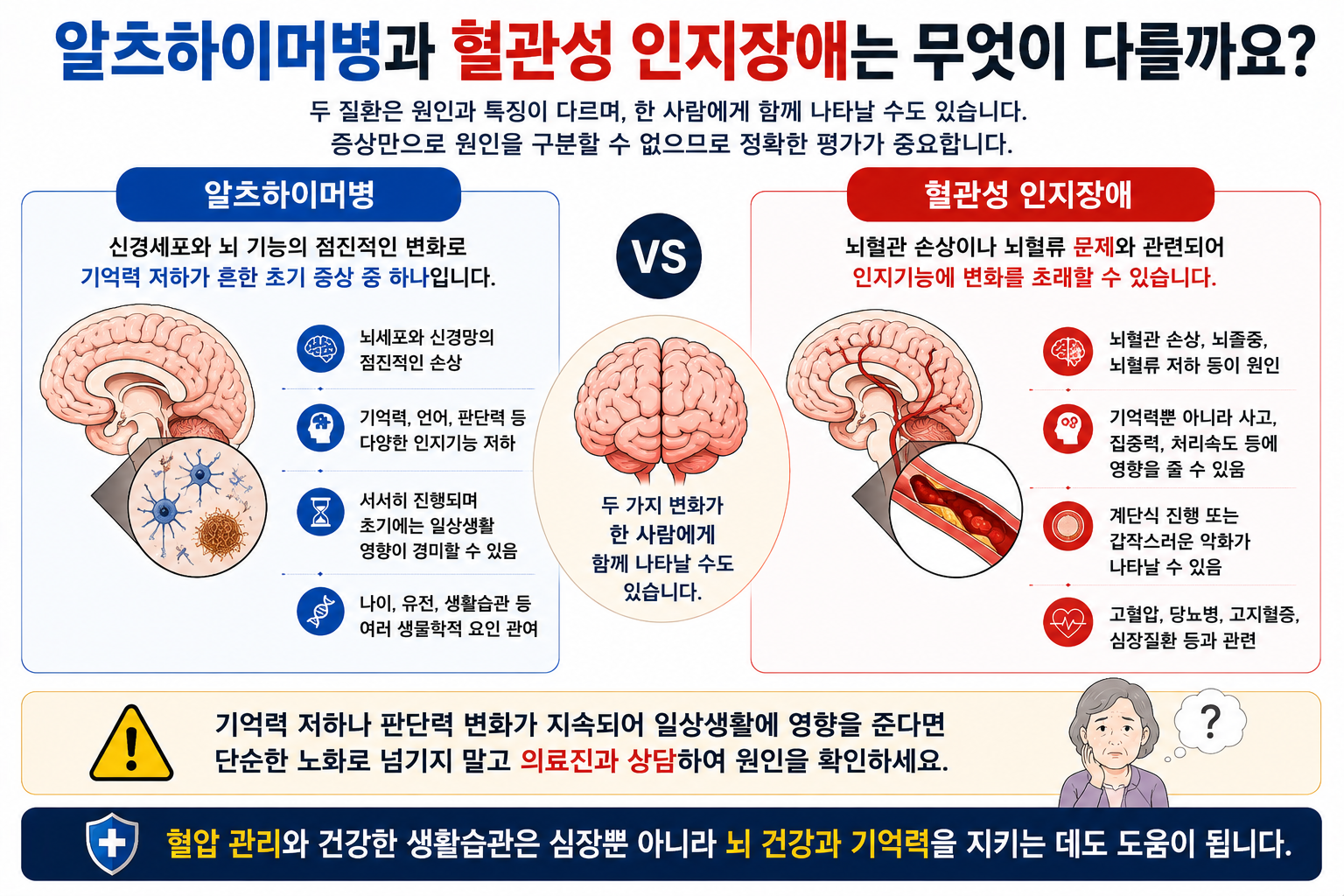 알츠하이머병과 혈관성 인지장애의 차이와 동반 가능성