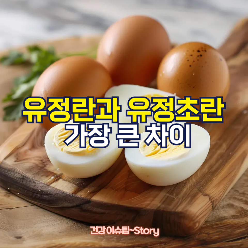 유정란과 유정초란의 가장 큰 차이