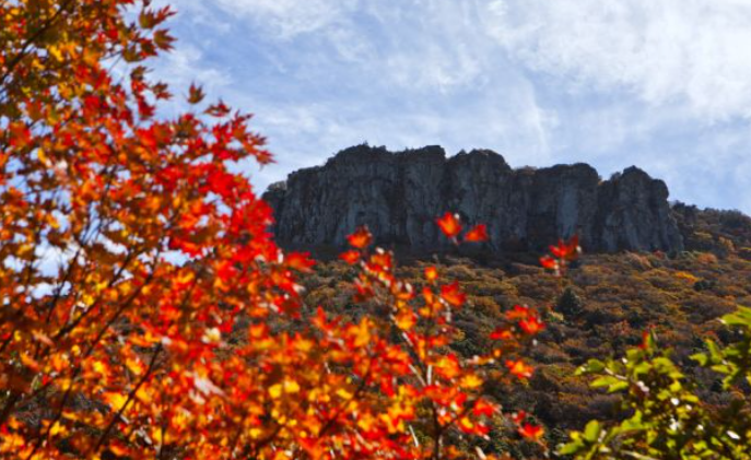 2025 한라산 단풍 절정시기 공개! 가을 초보자 코스 완벽 정리