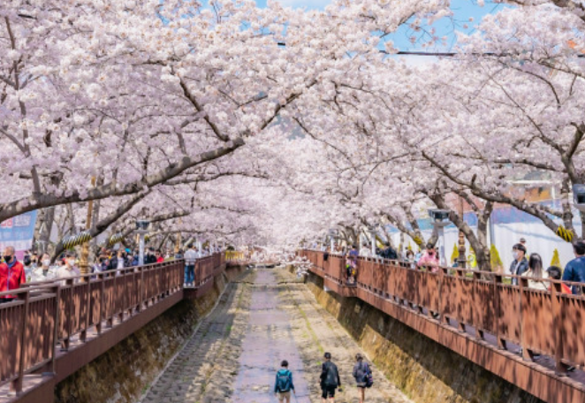 4월에 개최되는 주요 축제들 중에 진해 군항제