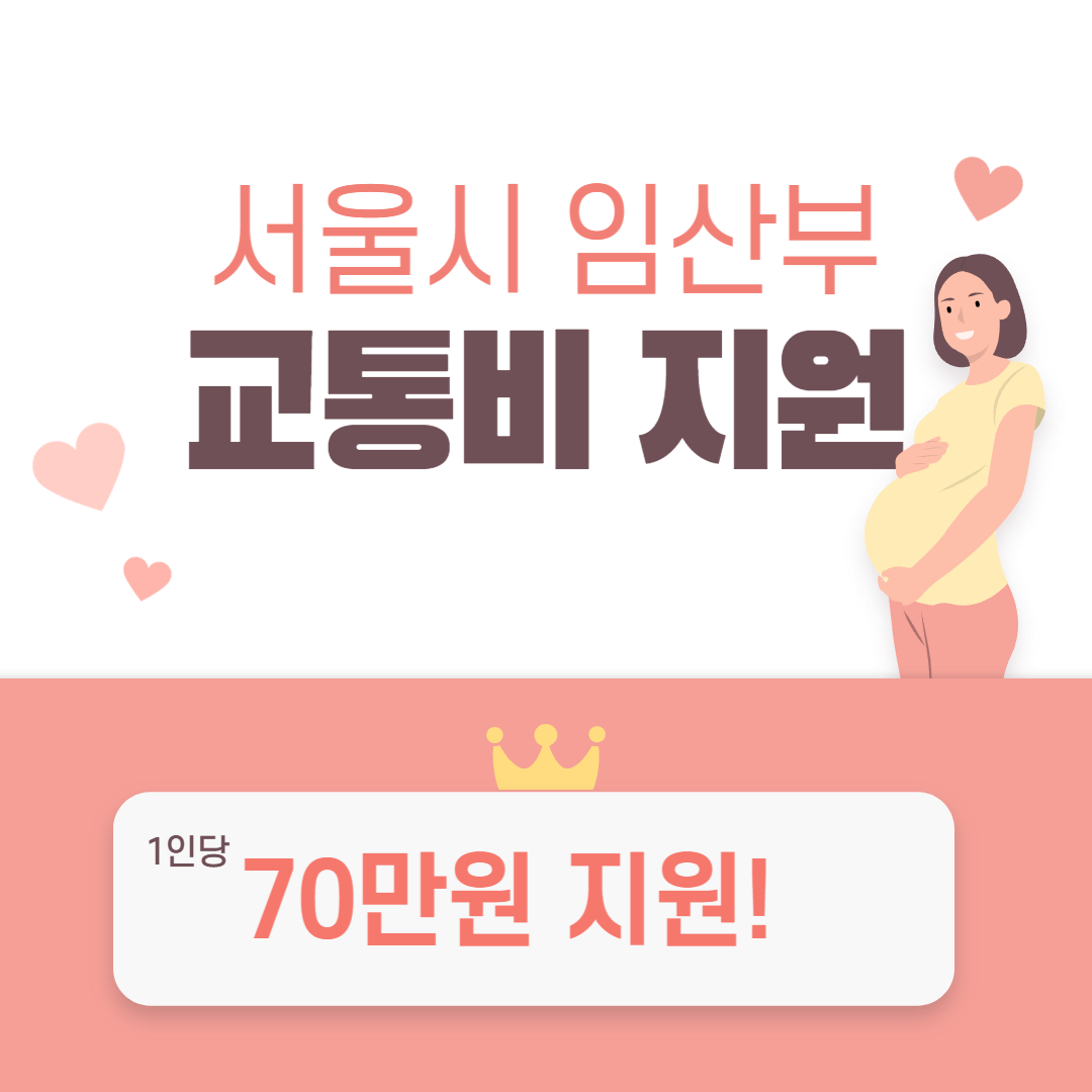 임산부 교통비 지원