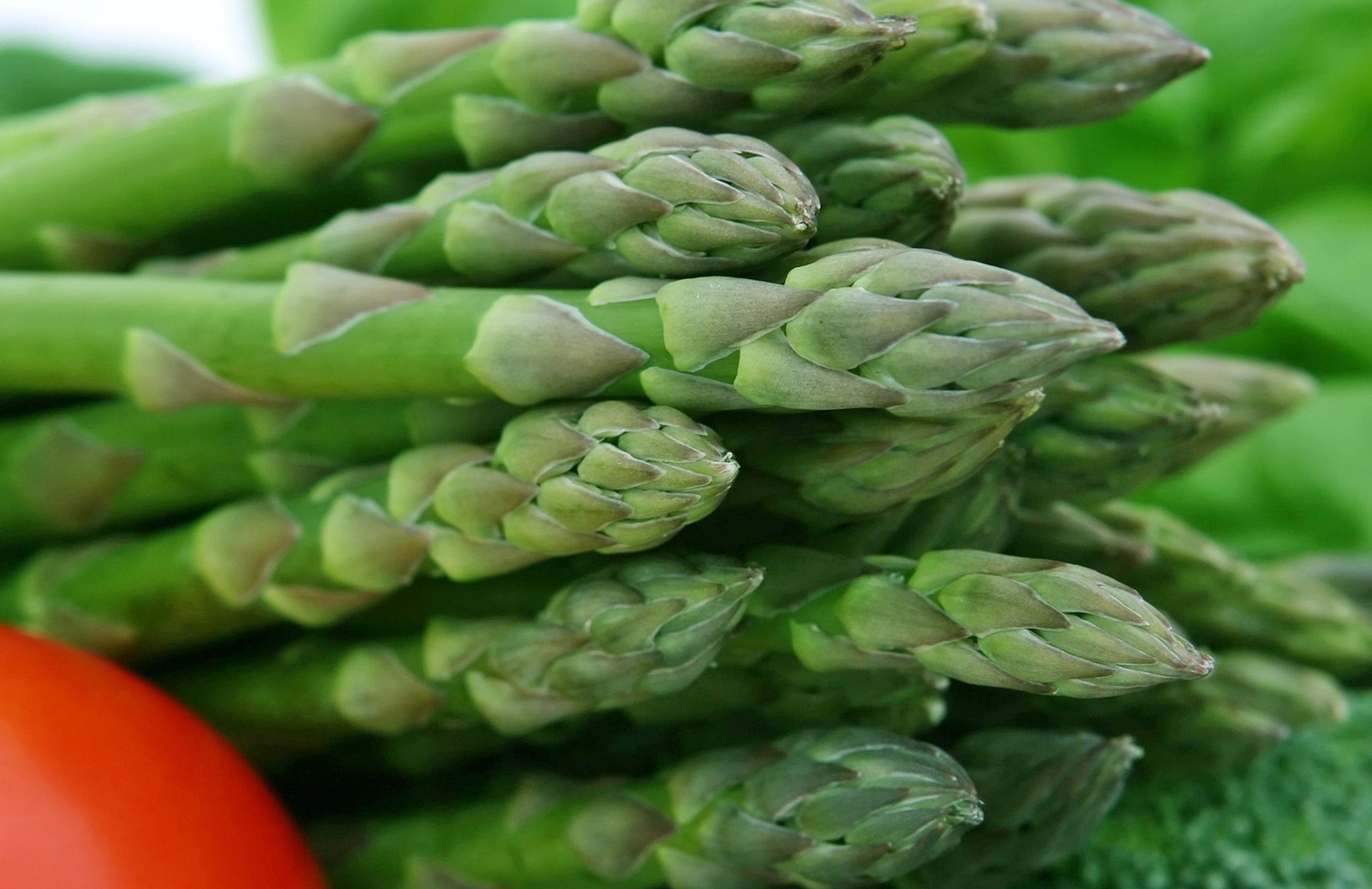 만성염증질환의 좋은 음식 6가지!