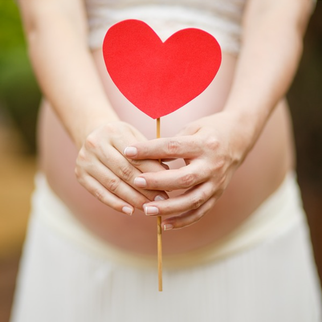 서울시임산부교통비지원사업