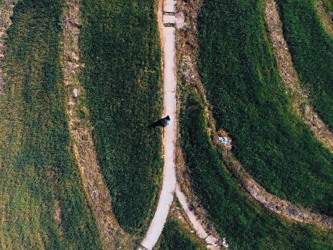 Shortcut