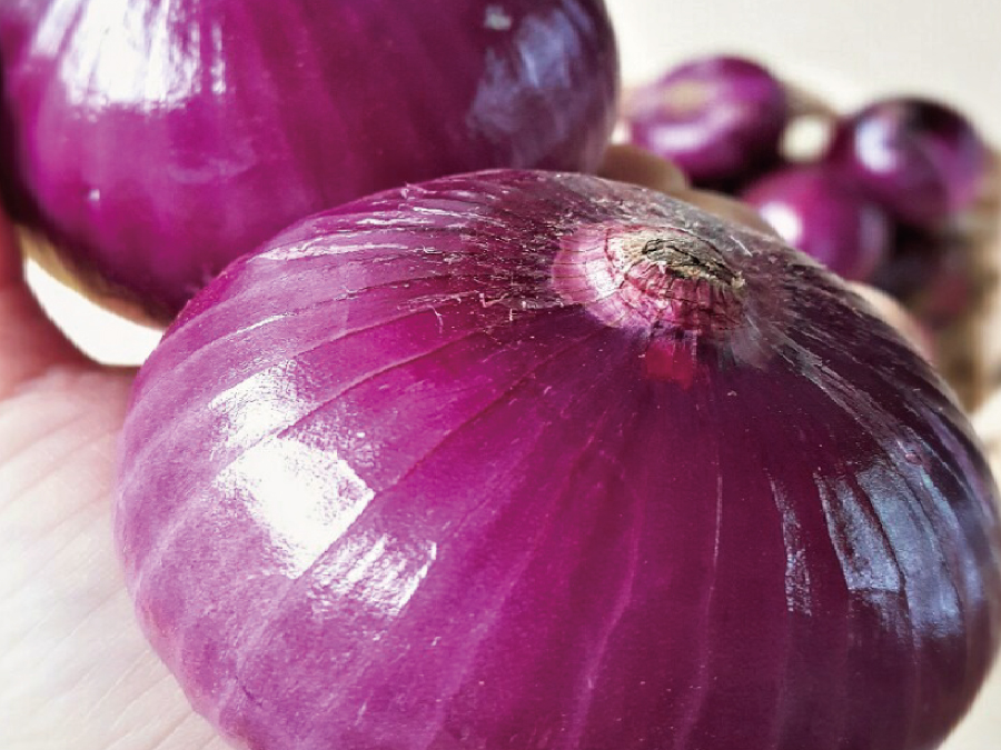 양파 2개를 이렇게 드세요! 부담 없이 맛있게 즐기는 초간단 양파 레시피