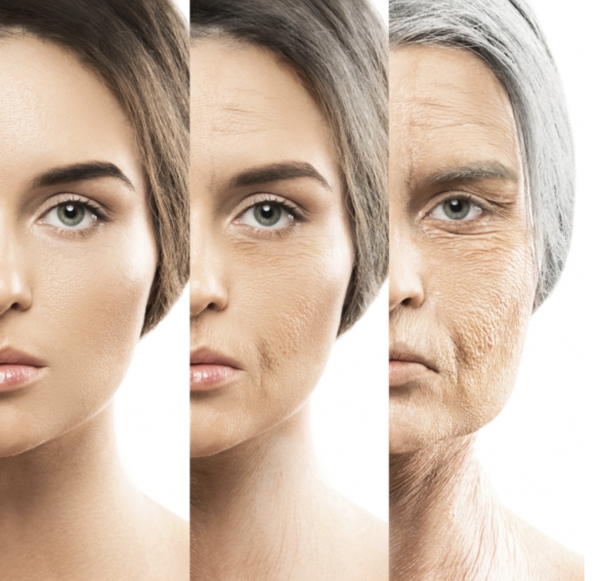 저속노화 습관 관련 사진