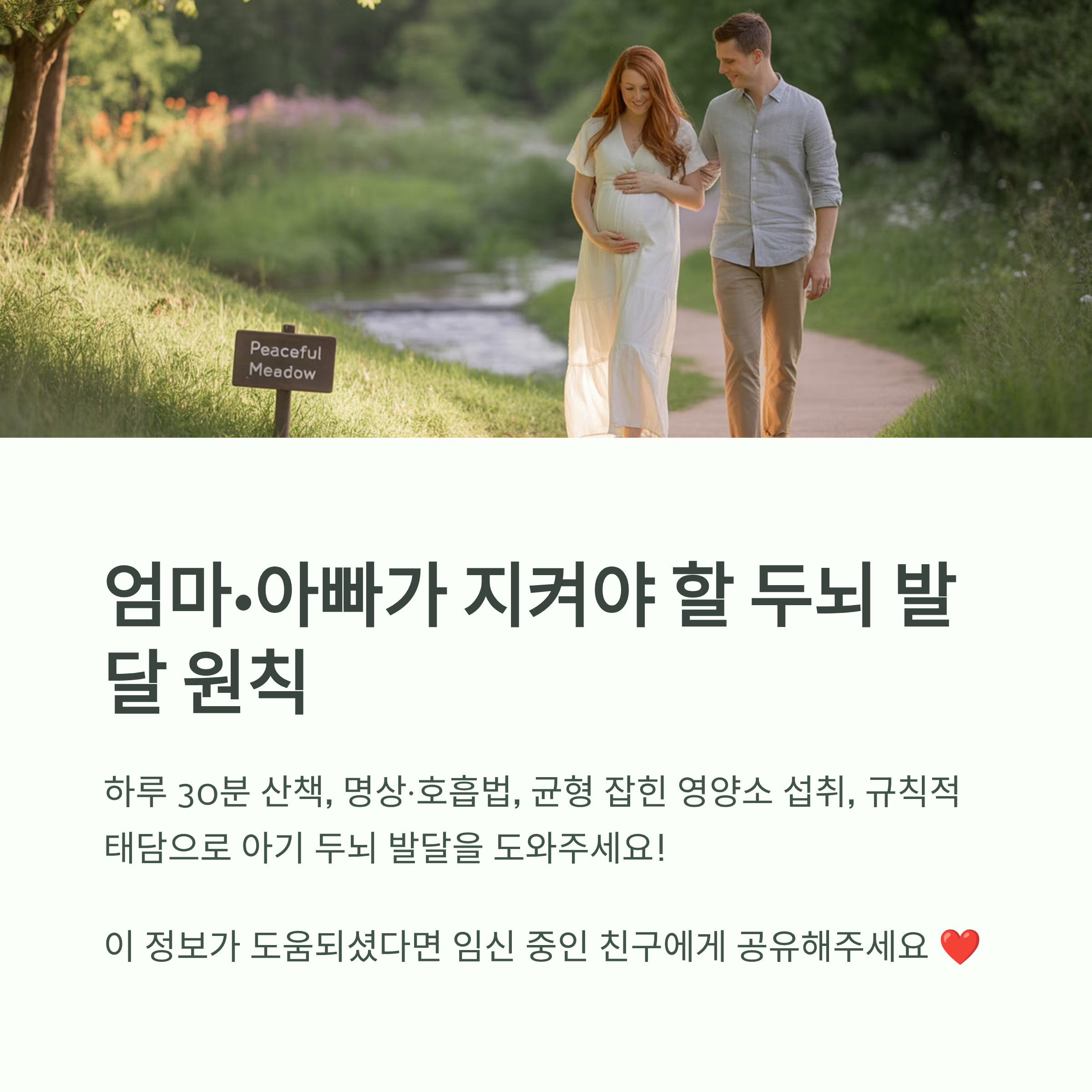 초록 들판을 산책하는 부부의 이미지와 함께, 하루 30분 산책, 명상, 균형 잡힌 영양 섭취, 규칙적 태담 등의 두뇌 발달 원칙을 안내하는 마무리 이미지