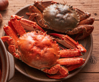 가을 수게 꽂게