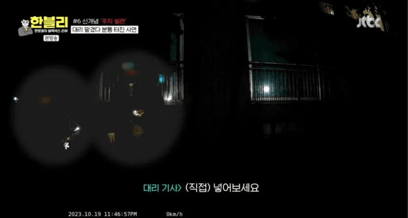 신개념 주차 빌런 대리 기사 12