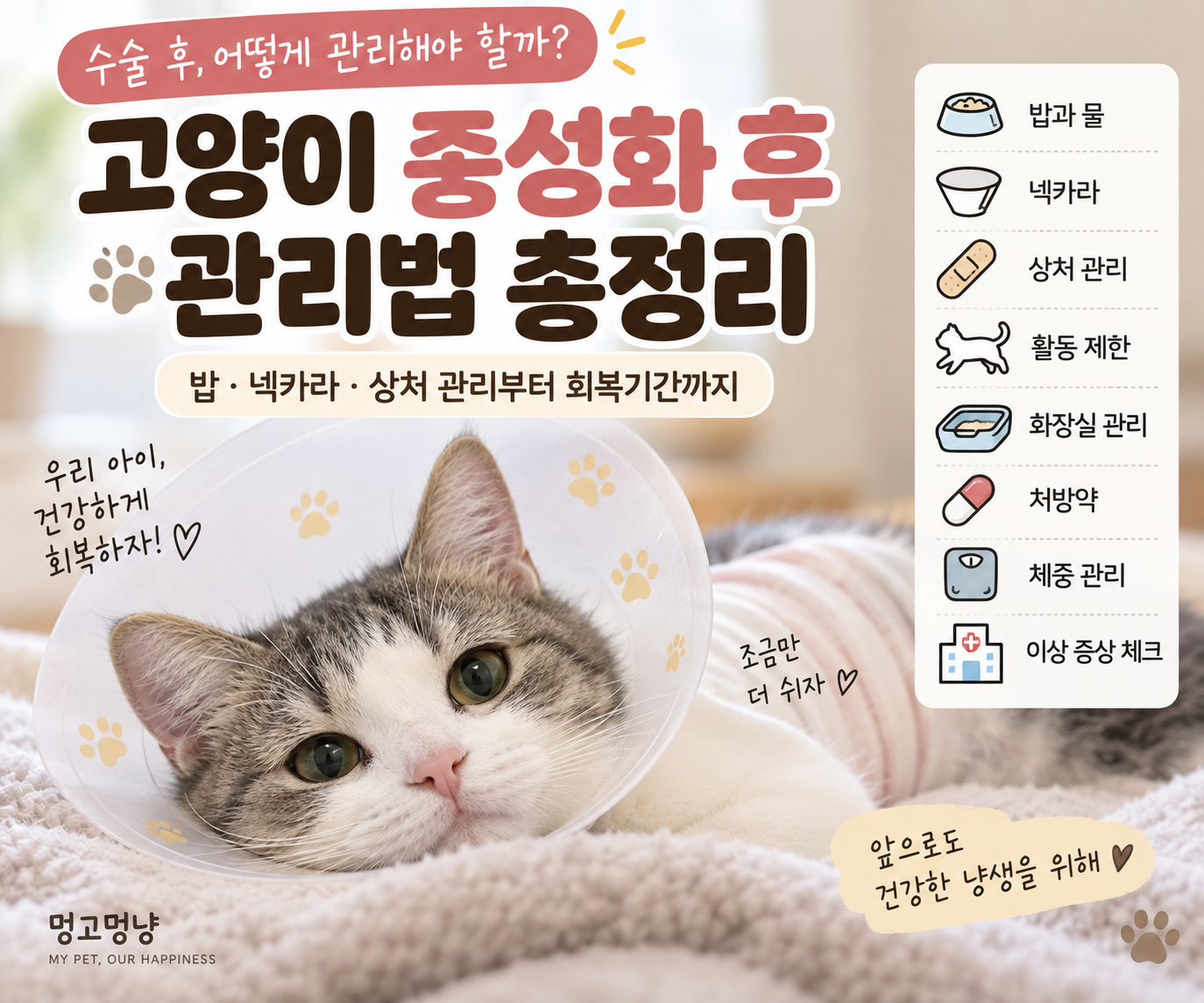 중성화 후 관리법