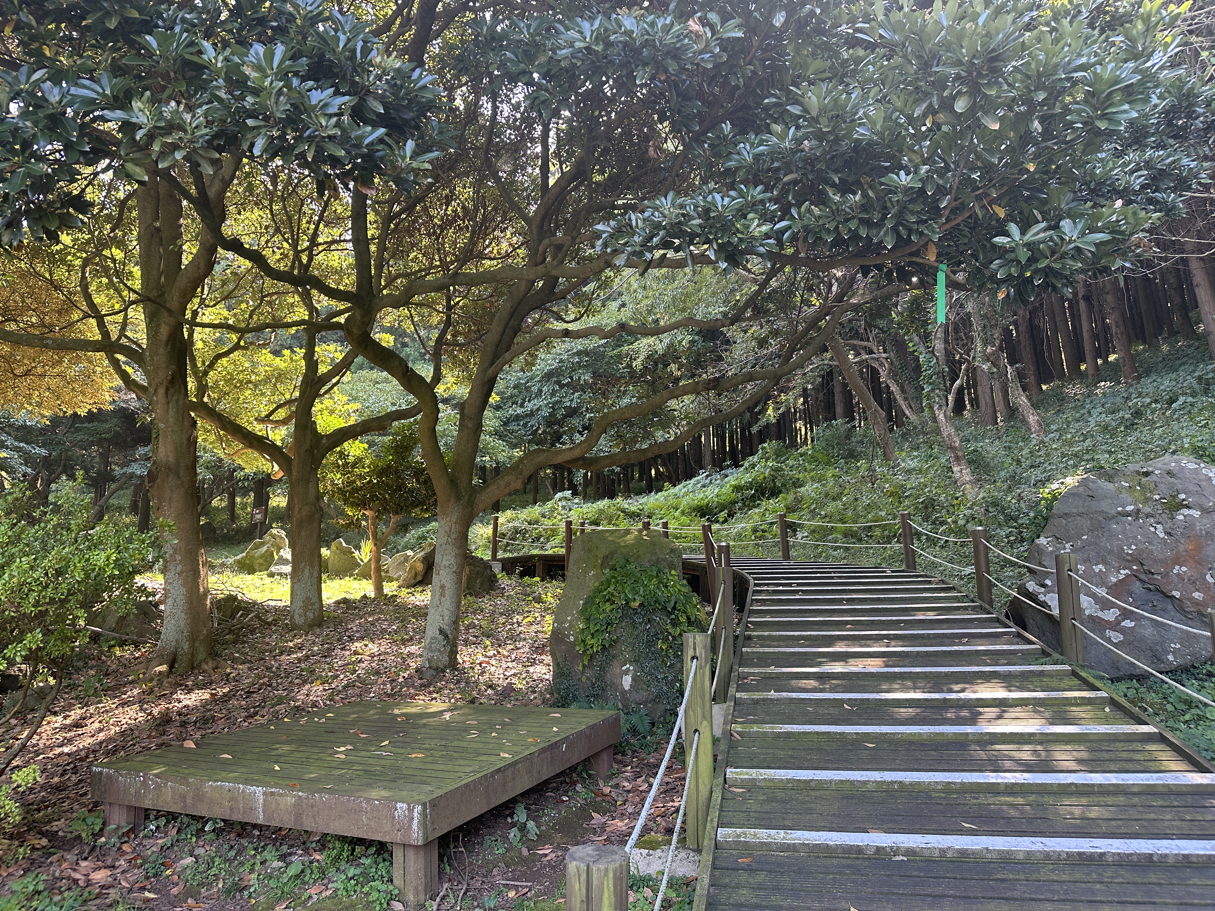 안세미 오름 입구