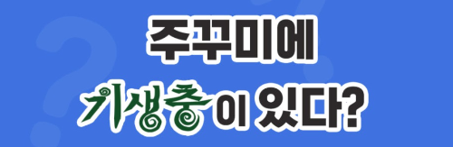 알트태그-주꾸미에 대한 식약처 블로그 내용