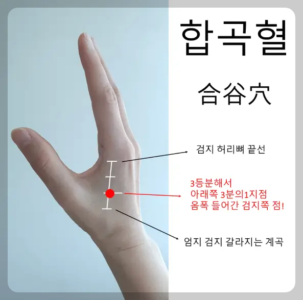 기침-멈추는-혈자리-합곡혈