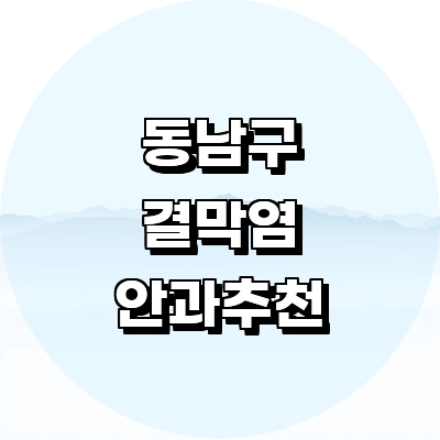 천안 동남구 안과