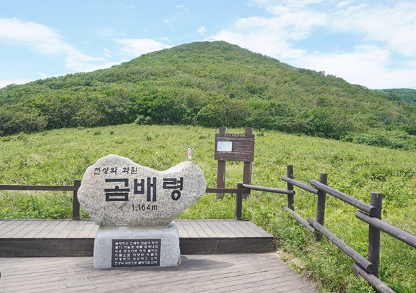 곰배령