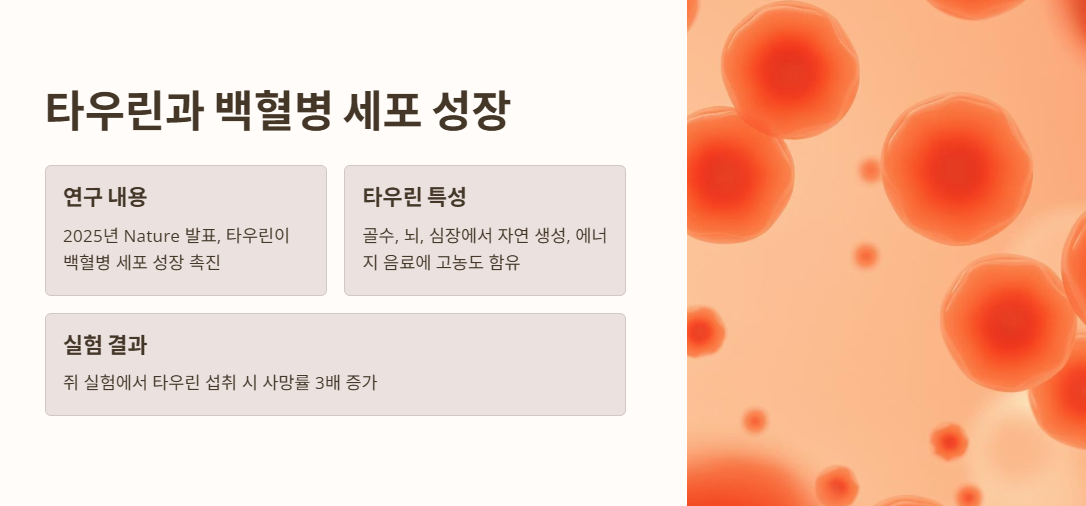 타우린이 백혈병을 악화?