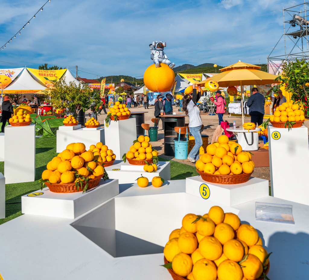 고흥유자축제