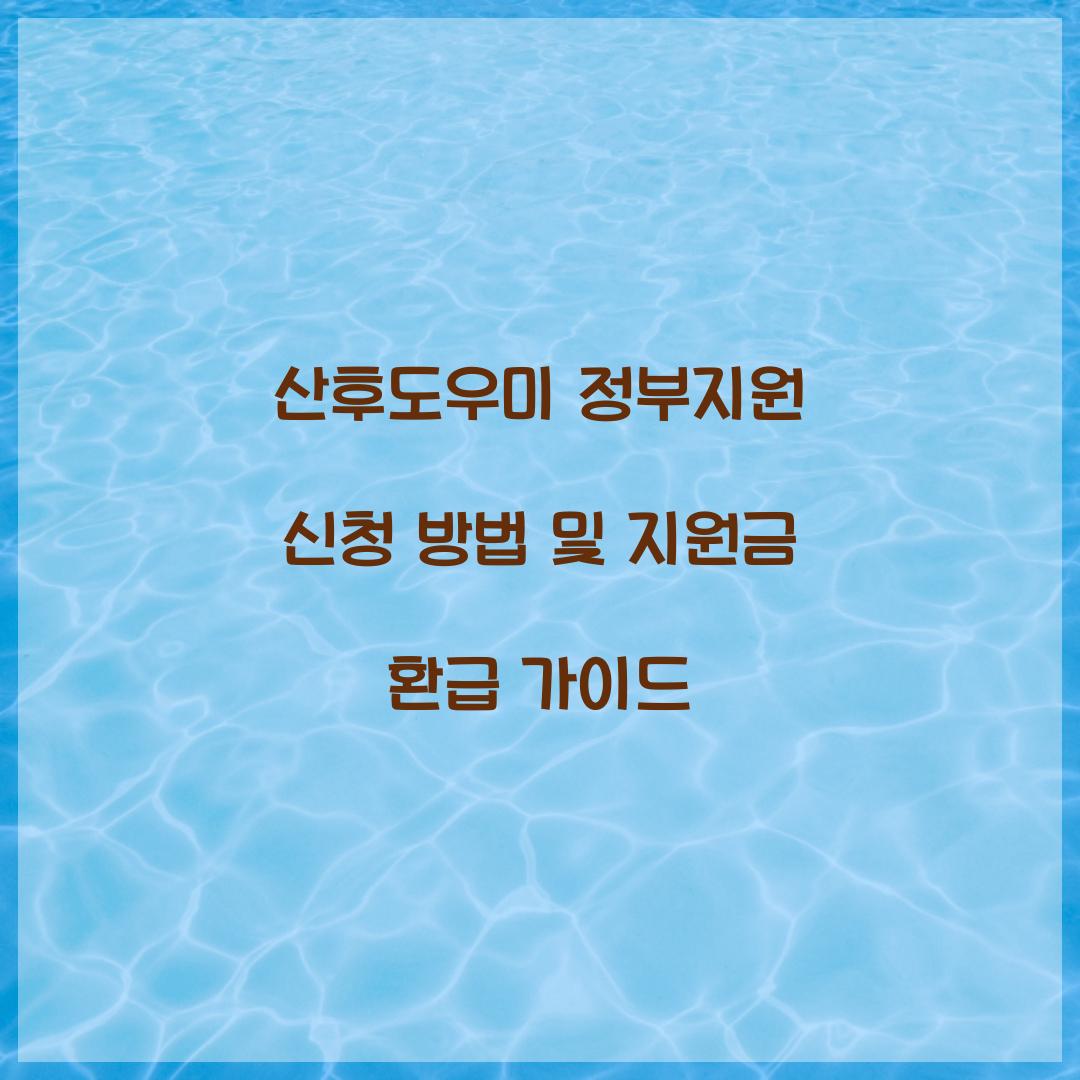 산후도우미 정부지원