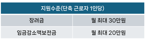 워라밸 일자리 장려금