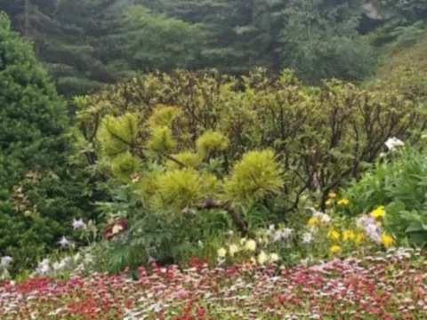 서울근교갈만한곳-아침고요수목원