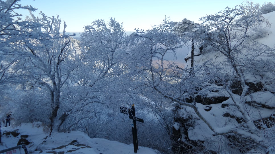 100대명산 등산하기 세번째 지리산(智異山) 은 대한민국을 대표하는 명산이자, 우리 민족의 정신이 깃든 산 남한의 최고 명산 천왕봉의 산