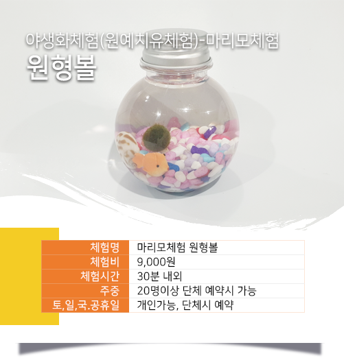 마리모체험 원형볼 