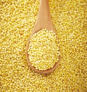 한국의 떡 종류 서속떡-기장