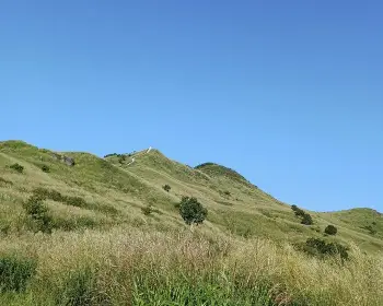 황매산 억새축제_3