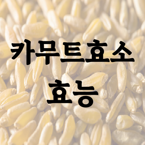 카무트효소 효능