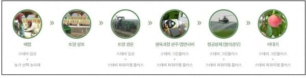 단 맛 때문에 인공감미료 스테비아 넣은 과일...믿고 먹을 수 있나?