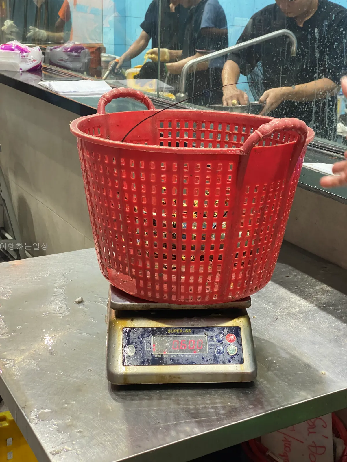 가족해외여행-나트랑-해산물-맛집-빈산-웨이팅대기,추천메뉴,랍스터-후기