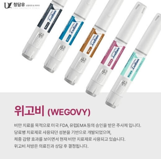 위고비 부작용 실제 후기 (메스꺼움, 요요현상, 감량효과)