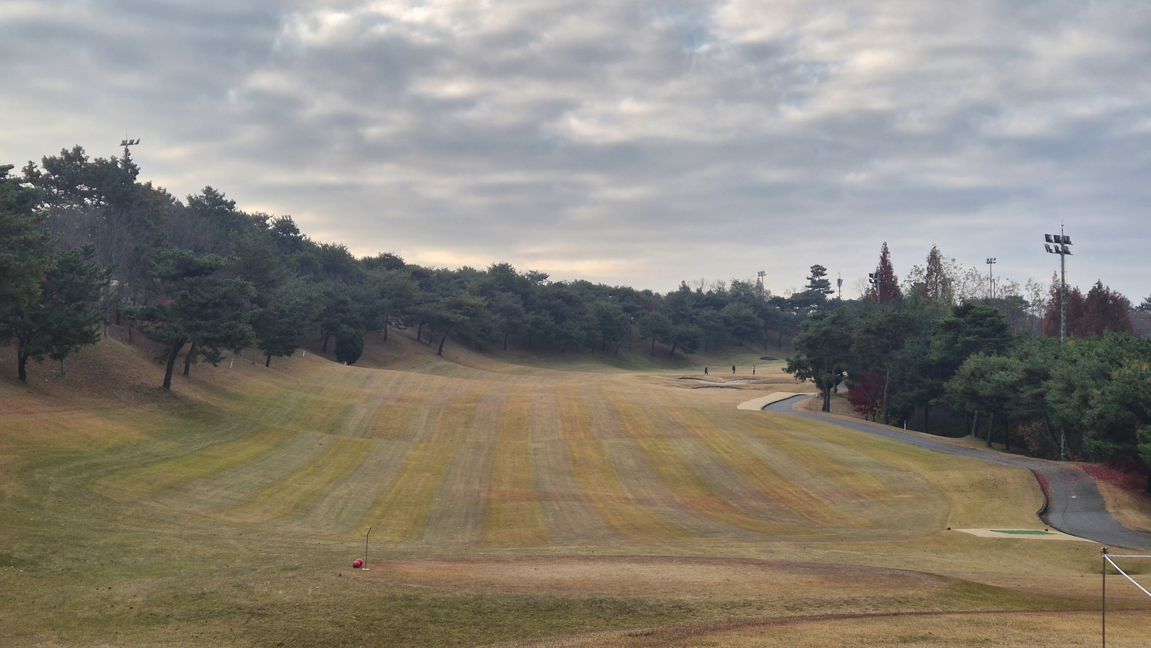 올데이 떼제베cc 가람코스 사진 및 공략 정보