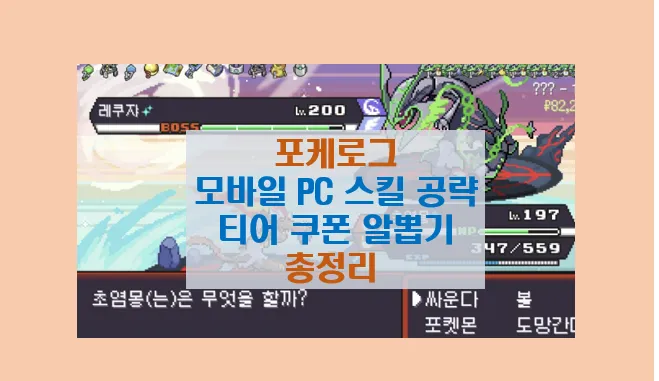 포케로그 티어 스킬 전략