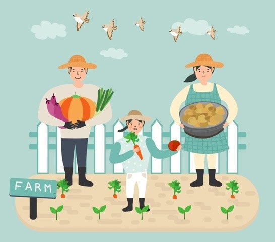 2026년 농어민수당 신청