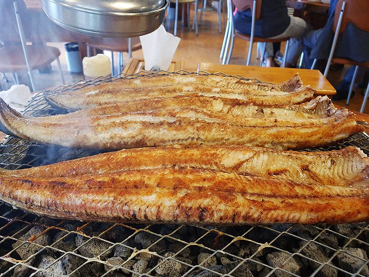 경기 광주 소금구이 장어 '숲속장어촌'