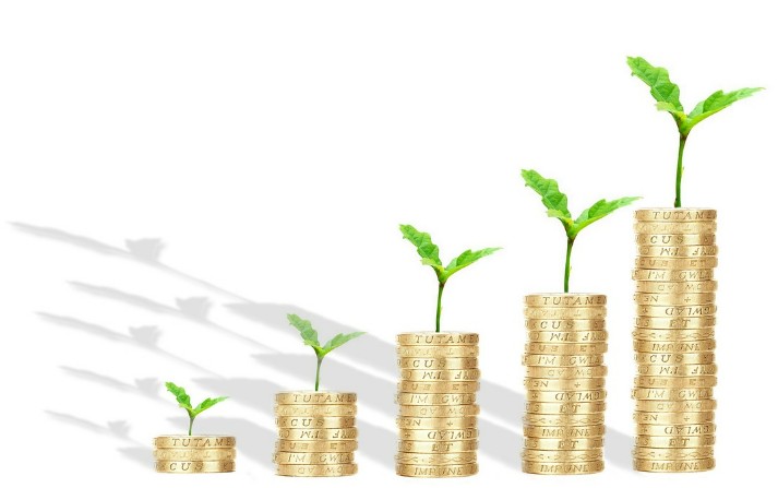 성장주 vs 배당주