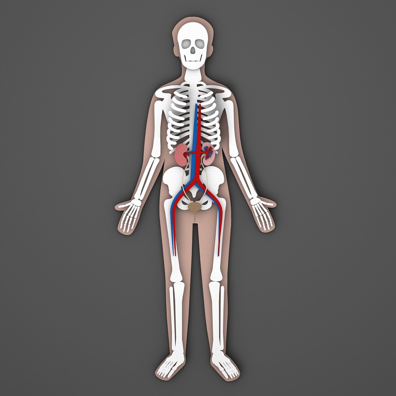 신장이 안좋으면 나타나는 증상