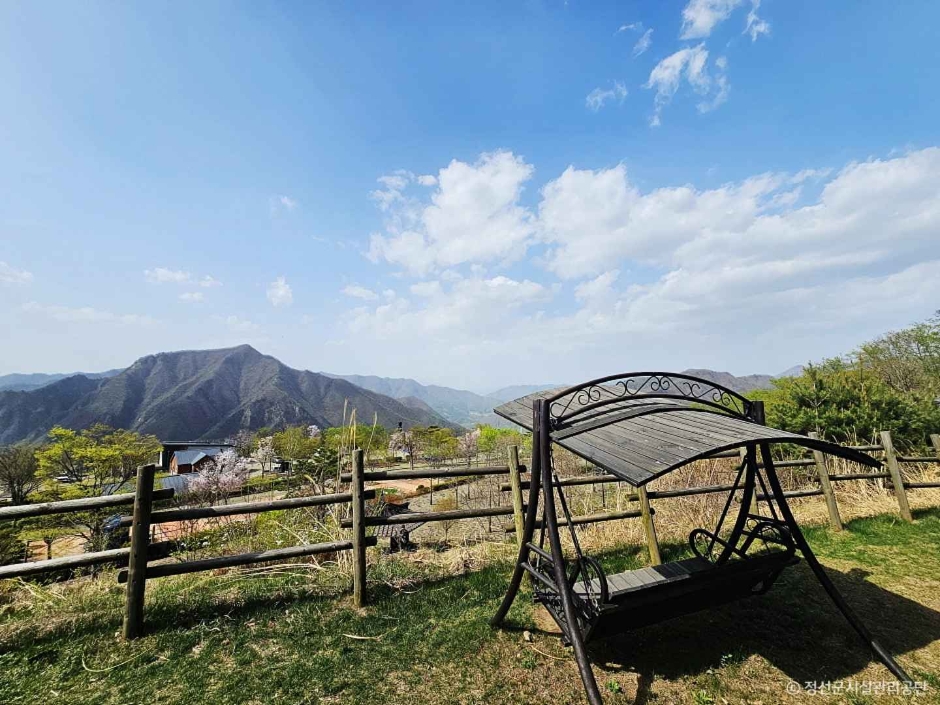 정선 가볼만한곳 베스트10