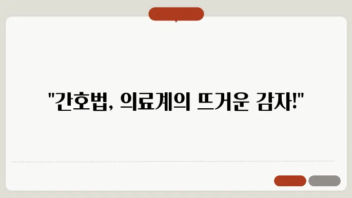 간호법 제정 쟁점과 의미, 의료계 반응 정리