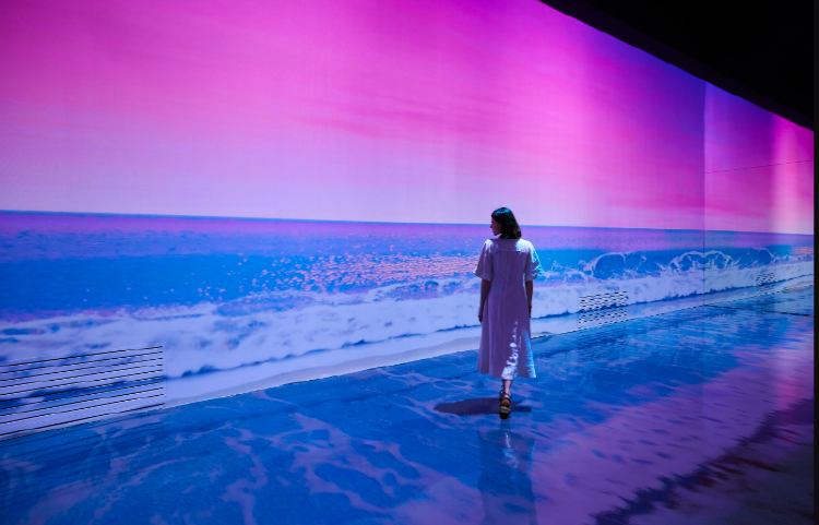 파주 뮤지엄헤이